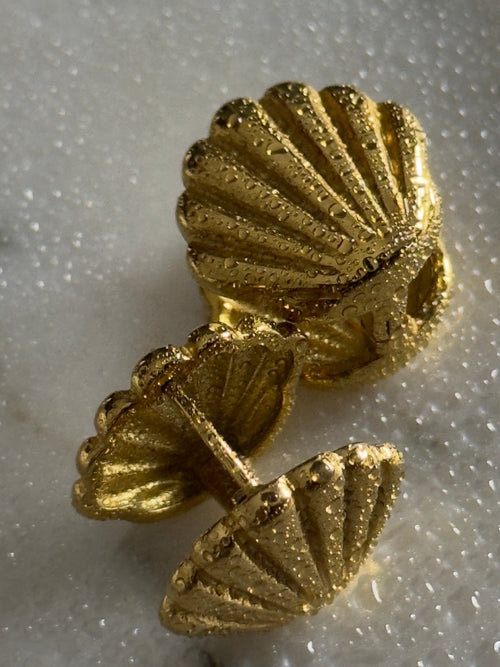 Scallop Shell Earrings