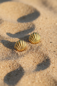 Scallop Shell Earrings