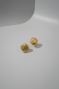Scallop Shell Earrings